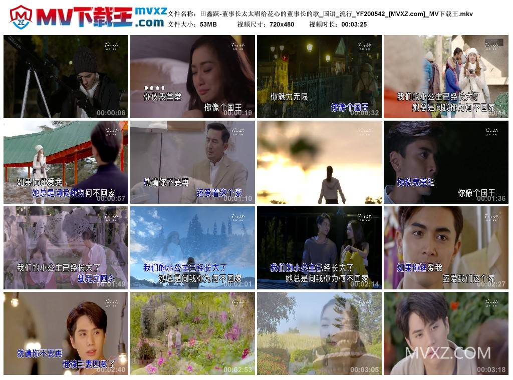 田鑫跃-董事长太太唱给花心的董事长的歌_国语_流行_YF200542